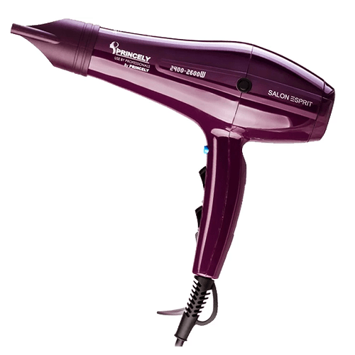 سشوار پرنسلی مدل 250 Princely PR250AT Hair Dryer - آریاناز بیوتی
